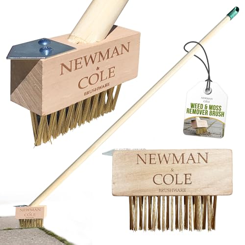 Long Handle Weed Brush for Patios & Block Paving