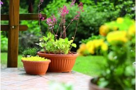Prosper Plast Corinthian Low Planter/Flower Pot (40cm, Terracotta)