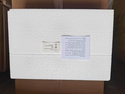 10cm Hanging Glass Globes Terrarium Orbs 6 Pcs Glass Planter Big Opening Air Fern Plants Vase Hanger 4 Inches for Home Party Wedding Garden DIY Design