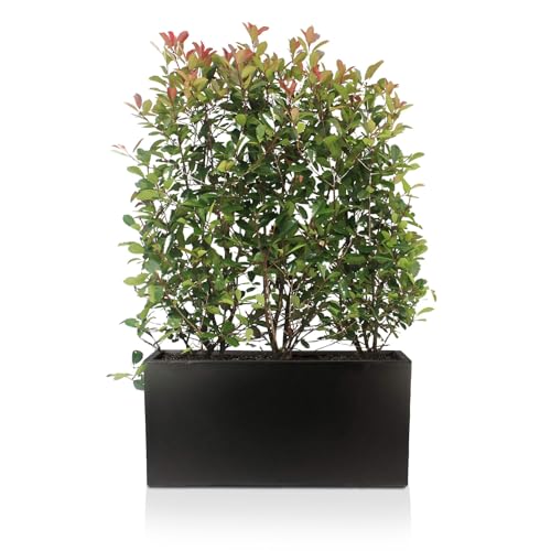 IDEALIST 100cm Large Trough | Black Reinforced Stone Rectangle Plant Pot | Garden Planters with Drainage Holes L100 W36 H51.5 cm, 137 litres