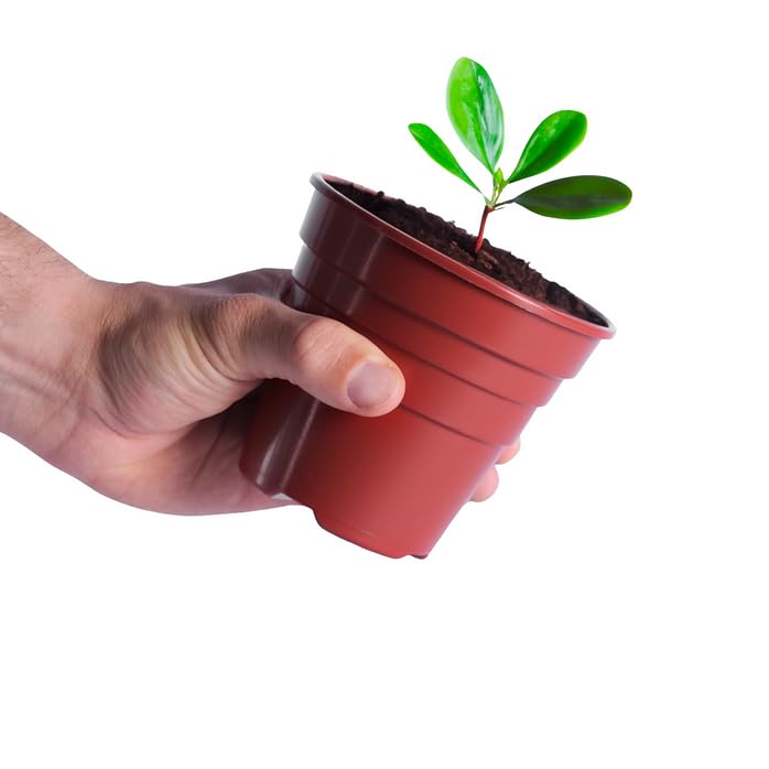 Happy Pots - 15cm Gloss Terracotta - Pack of 15 Premium Plastic Plant Pots - Reusable Flower Pots for Indoor/Outdoor Home Décor Gardening - Round, Heavy Duty, UV Resistant, Recyclable - Made in UK