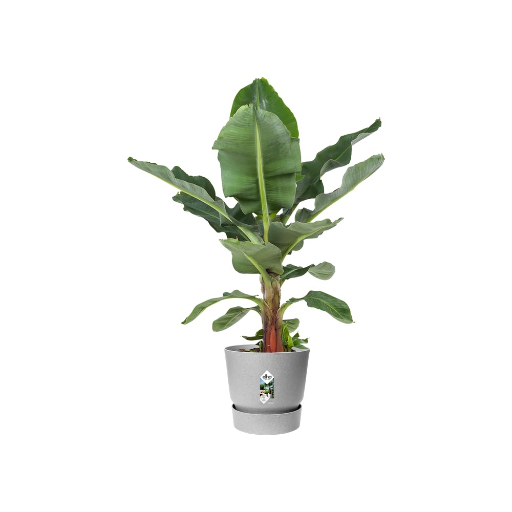 elho Greenville Round 25 - Plant Pot for Indoor & Outdoor - 100% Recycled Plastic - Ø 24.5 x H 23.3 cm - Grey/Living Concrete