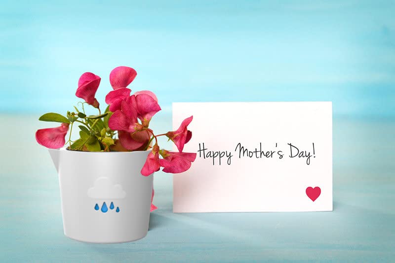 Large Self Watering Plant Pot for Indoor and Outdoor, Cloud Planter, Well Aerating and Draining Plastic 20cm Plant Pots for Orchids, African Violets, Herbs, Fiddle Leaf, Money Tree, Grey