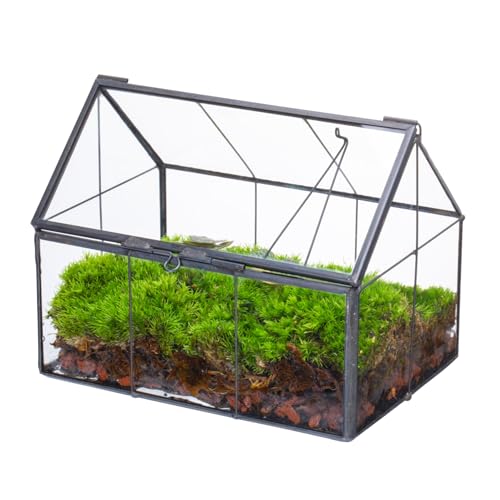 NCYP Mini House Shape Glass Terrarium with Lid