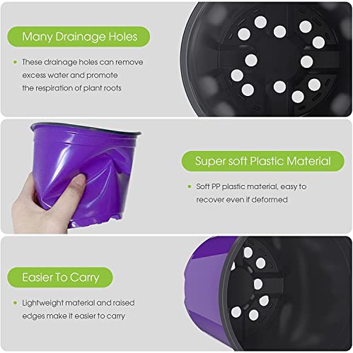 LATERN 50Pcs 15cm Plastic Plant Flower Pots, Purple Lightweight Seed Starting Pots Nursery Seedlings Pots Flower Plant Container (15 x 13cm)