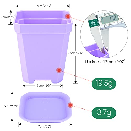 KINGLAKE 12Pcs 7cm Plastic Square Plant Pots with Trays, Thick Seed Seedling Pots, Small Coloured Nursery Flower Pots for Vegetables Cuttings Succulent Cacti Herbs