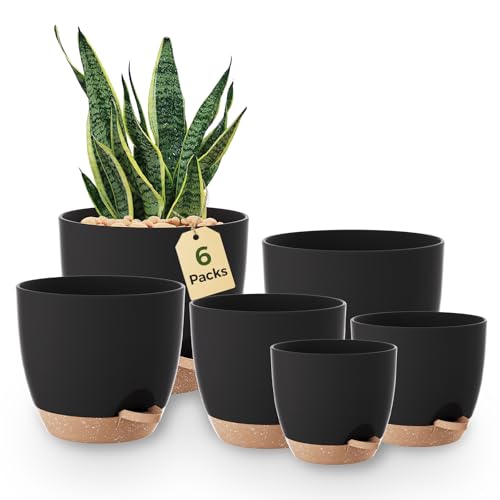 Bamworld Self Watering Plant Pots Indoor Set of 6