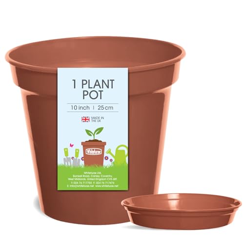 Whitefurze 25cm Terracotta Plant Pot with Saucer