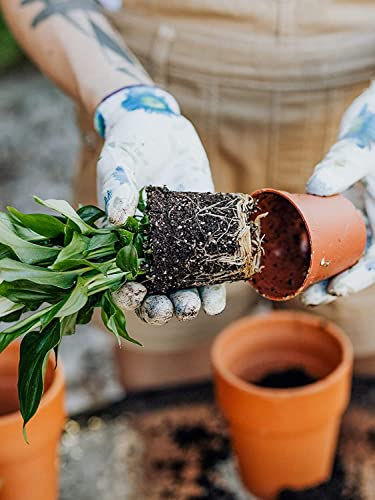 LATERN 60Pcs Plastic Flower Pots, 7.5CM Plant Nursery Pots Small Flower Container Seedling Pots with Drainage Holes for Succulent Fruit Vegetable Seedlings Transplanting - with 100Pcs Plant Labels