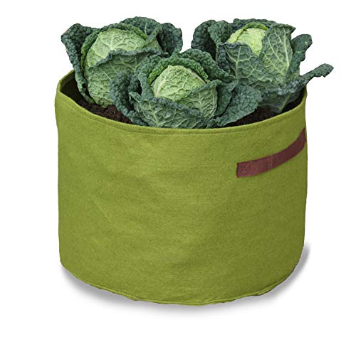 Haxnicks Vigoroot Air Pruning Garden Planter 37L