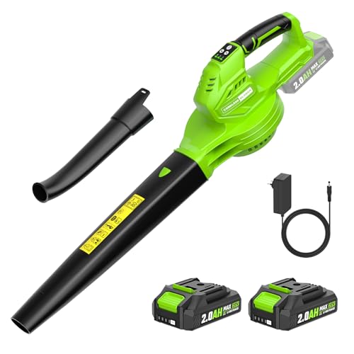 20V Cordless Leaf Blower with 2 Batteries, 3.4lb
