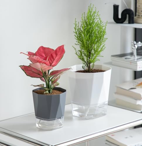 Olrla Self Watering Planter Pots 17cm, Set of 4 plastic planter with Drainage Hole and Deep Reservoir for indoor and outdoor flowers plants planting, 4 colors