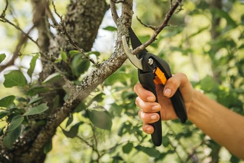 Fiskars SingleStep Pruner Bypass P26, Non-stick coating steel blades, Length: 20 cm, Cutting diameter: 2.2 cm, Black/Orange, SingleStep, 1000567