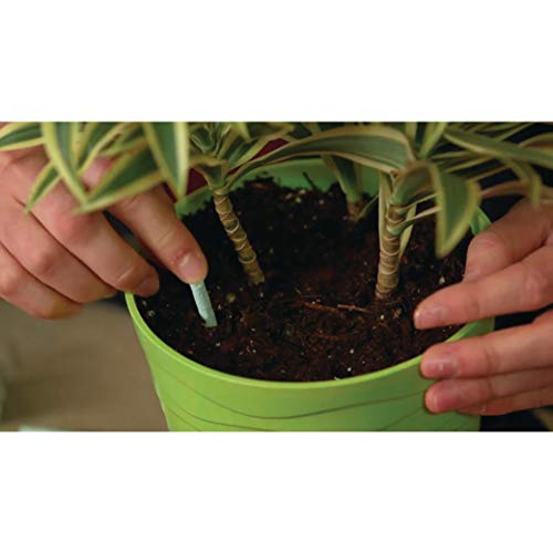 Home-APP Miracle-Gro 300157 Indoor Plant Food 48-Spikes, 2.2-Ounce Garden, Lawn, Supply, Maintenance