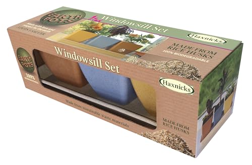 Haxnicks Windowsill Plant Pot Set, Rice Husks, Multi Colour, L29.5 x W10 x H10cm