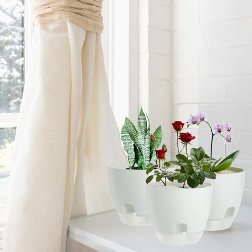 IWTTWY Self Watering Plant Pot Set Pack of 3, 15cm Clear Plastic Flower Pots, Planters for Indoor with Drainage Maintains, Seed Seedling Pots for Orchid, African Violet, Rose, Tulips (White - Clear)