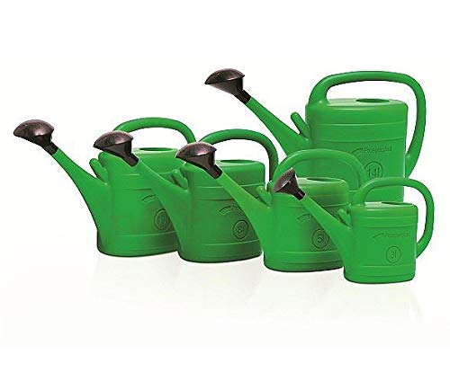 Garden Watering Can Green Wash Watering Cans Rose Storage Nozzle (10L)