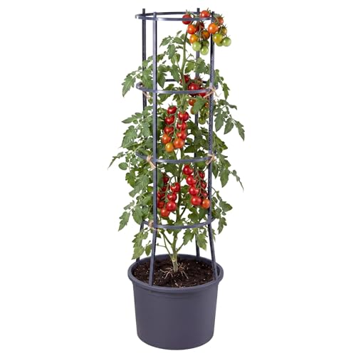 GEEZY Self-Watering Tomato Planter with 4-Tier Trellis