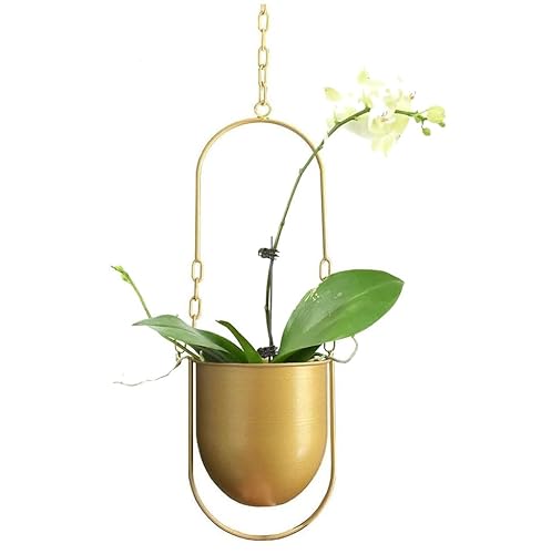 Gold Boho Metal Hanging Ceiling Planter