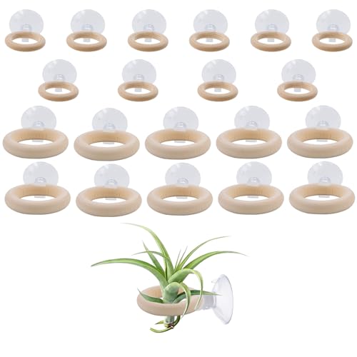 JINGHANGER Air Plant Holders with Suction Cups – 20 Set