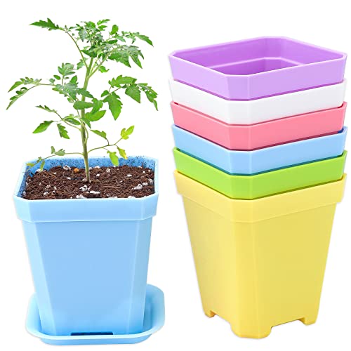 KINGLAKE 12Pcs 7cm Plastic Square Plant Pots with Trays, Thick Seed Seedling Pots, Small Coloured Nursery Flower Pots for Vegetables Cuttings Succulent Cacti Herbs