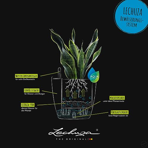 LECHUZA CLASSICO Color 35 Self-watering Planter Garden Plastic Indoor and Outdoor Flower Plant Pot with Drainage Hole D35 H30 cm Slate