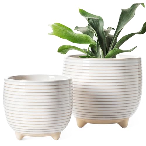 LE TAUCI Ceramic Plant Pots 12+16cm with Drainage