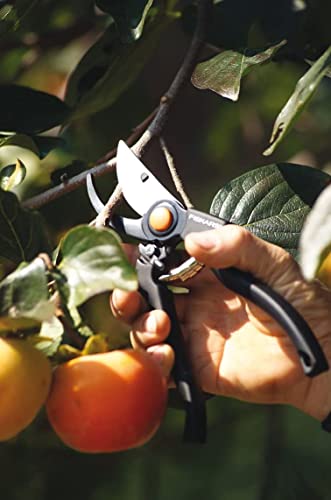 Fiskars Pro Pruner P90, Cutting diameter: 2.6 cm, Steel blades with non-stick coating, Length: 22.5 cm, Black/Orange, 1001530