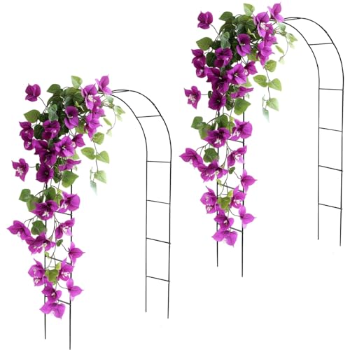 DIVCHI Black Metal Garden Arch – Pack of 2