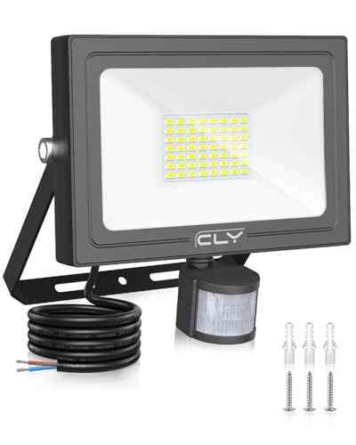 CLY 30W PIR Motion Sensor Security Floodlight