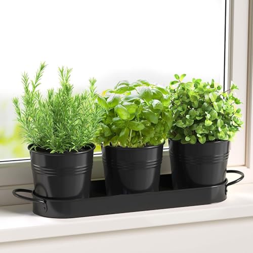 BSTMOME Herb Pot Planter Set with Tray for Indoor Garden Outdoor Use, Decorative Metal Succulent Pots Windowsill Planter Pots Flower Pots for Kitchen Grow (Black)