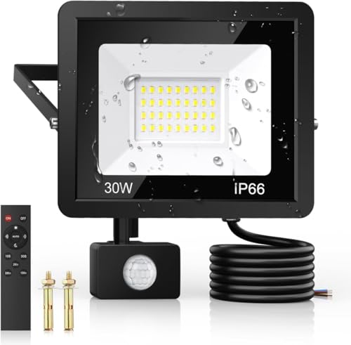 30W PIR Flood Light with Remote Control, IP66
