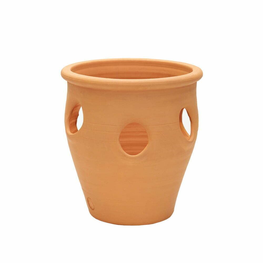 Plant Avenue APTA Terracotta Herb Planter 20cm Durable Outdoor Garden Pot, Brown