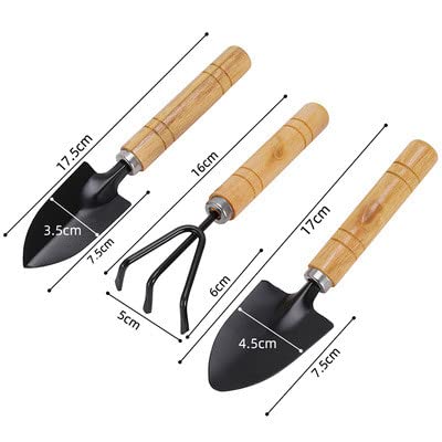 Mini Garden Tool Set 3 Pcs Hand Planting Tools Small Shovel/Rake/Spade Succulent Tools for Gardening Life Kids Indoor Small Plants Mini Medium Plant Tool Succulent Kit