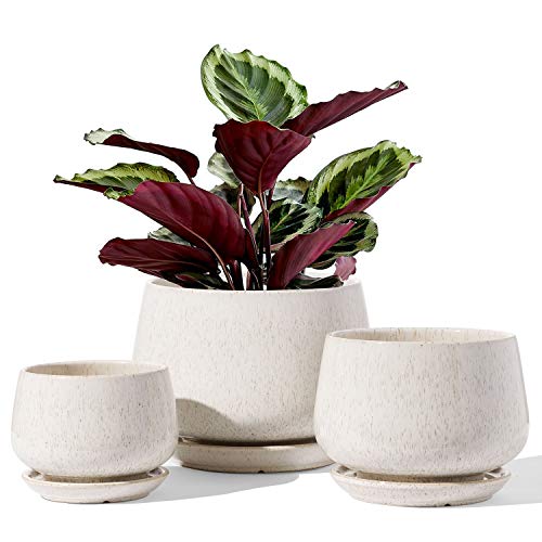 LE TAUCI Ceramic Plant Pots Set of 3 with Saucers