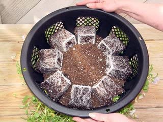 Trendi® Easy Filling Hanging Baskets/Planters Black 15"/ Indoor Outdoor Garden Porch Decoration With Chain 46cm (set of 4)