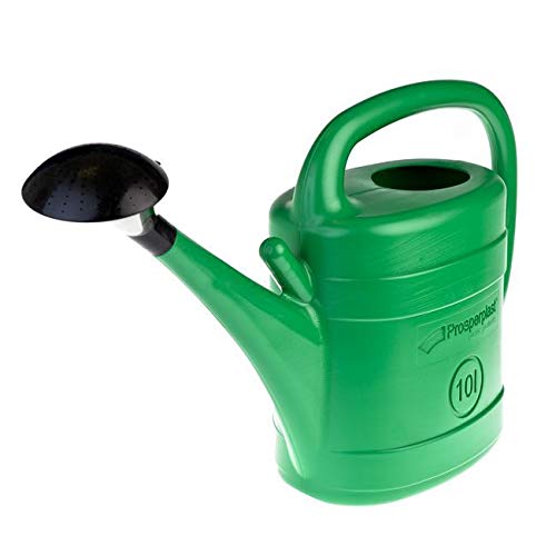 Garden Watering Can Green Wash Watering Cans Rose Storage Nozzle (10L)