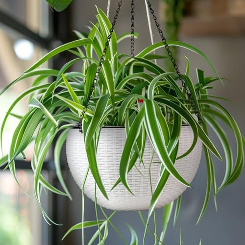 CPROSP 2-Piece 28 cm Self-Watering Pot Hanging with Water Level Indicators, Self-Watering Flower Pot, Hanging Basket, Hanging Flower Pots with Drainage Holes, Flower Pot Water Storage with Pot System