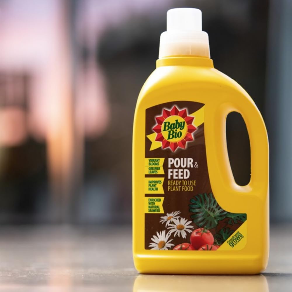 Baby Bio Pour & Feed Liquid Plant Food, 1L - Ready To Use Houseplant Food - with Seaweed Extract - to Stimulate Healthy Growth and Vibrant Flowering - Indoor Use Plant Nutrition