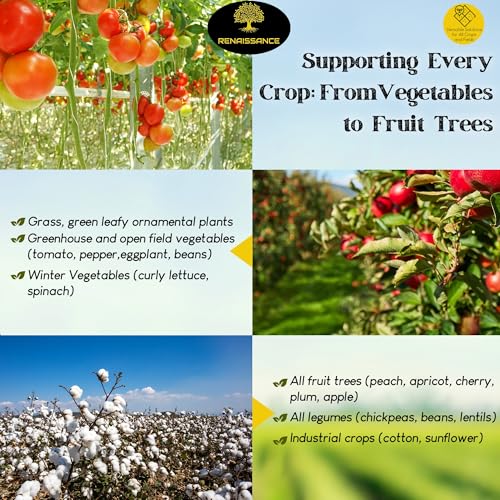 Renaissance Organic Plant Food - All Purpose Fertilizer for Outdoor & Indoor Gardening - Fertiliser Booster for Houseplants, Vegetables, Fruit Trees, Industrial Crops, Legumes | 3.62 kg Bag