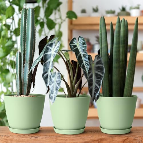 FORAGIFT 16 Pack 15cm Plastic Plant Pots for Indoor Flower Pots, Heavy Duty and Stylish Plant Pots for Indoor Plants with Drainage Holes and Tray for Plants, Flowers, Green