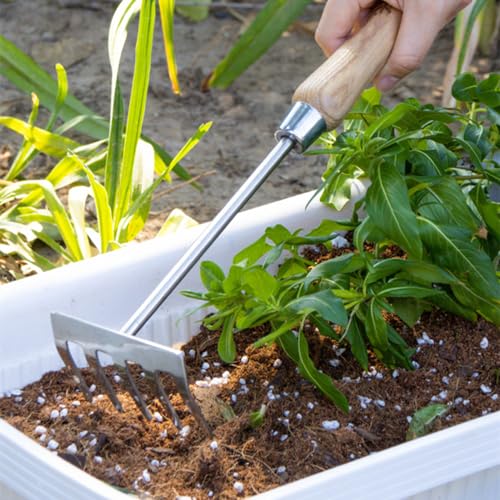 Garden Rake with 5 Steel Tines - Ergonomic Wooden Handle - Ideal for Weeding and Loosening Soil