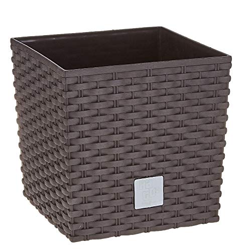 Prosper Plast Rattan Planter Dark Brown, Small Size 17cm Square Shaped Flower Pot