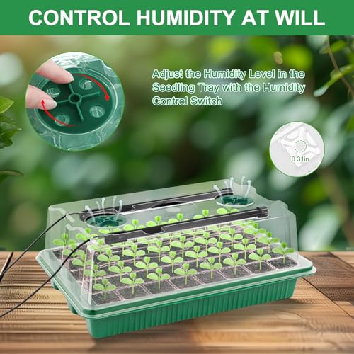 DOUUCO Seed Trays with Grow Light, 2 Pack 80 Cells Propagators Trays with Heightened Lids, Seedling Starter Growing Trays Adjustable Window 2 Meters Timing Controller for Greenhouse Gardens Green
