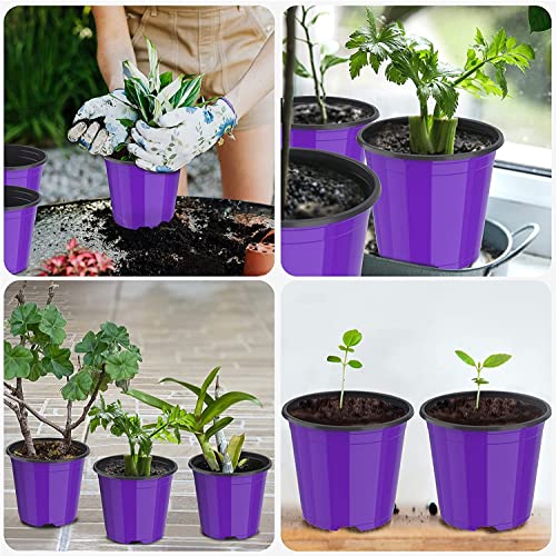 LATERN 50Pcs 15cm Plastic Plant Flower Pots, Purple Lightweight Seed Starting Pots Nursery Seedlings Pots Flower Plant Container (15 x 13cm)