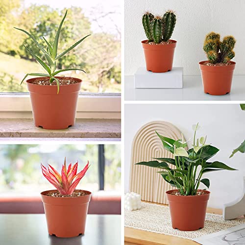 LATERN 60Pcs Plastic Flower Pots, 7.5CM Plant Nursery Pots Small Flower Container Seedling Pots with Drainage Holes for Succulent Fruit Vegetable Seedlings Transplanting - with 100Pcs Plant Labels