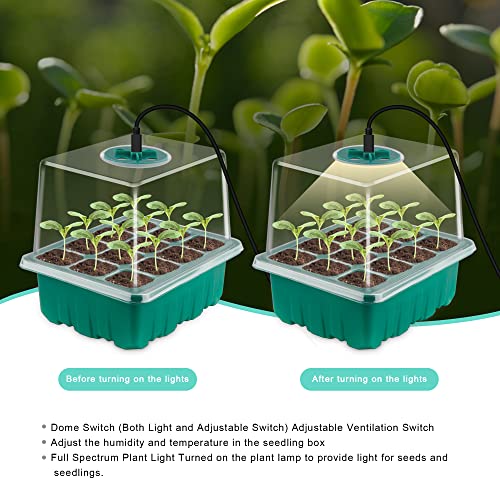 BTONGE Upgrade 5 Set Seed Trays with Grow Light for Plants, Propagator Trays with Heightened Lids, LED Full Spectrum Sunlike White Plant Lights, Germination Seedling Starter Kit-USB Powered