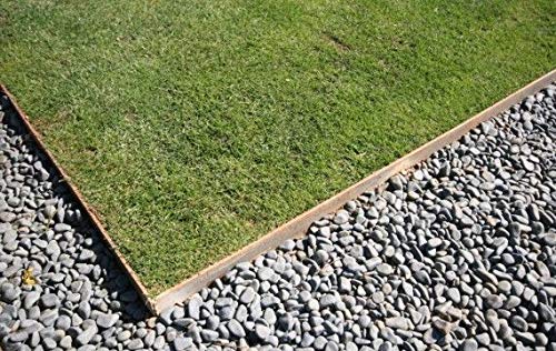 Pressure Treated Timber Gravel Board 100mm x 22mm (4x1 Inch)