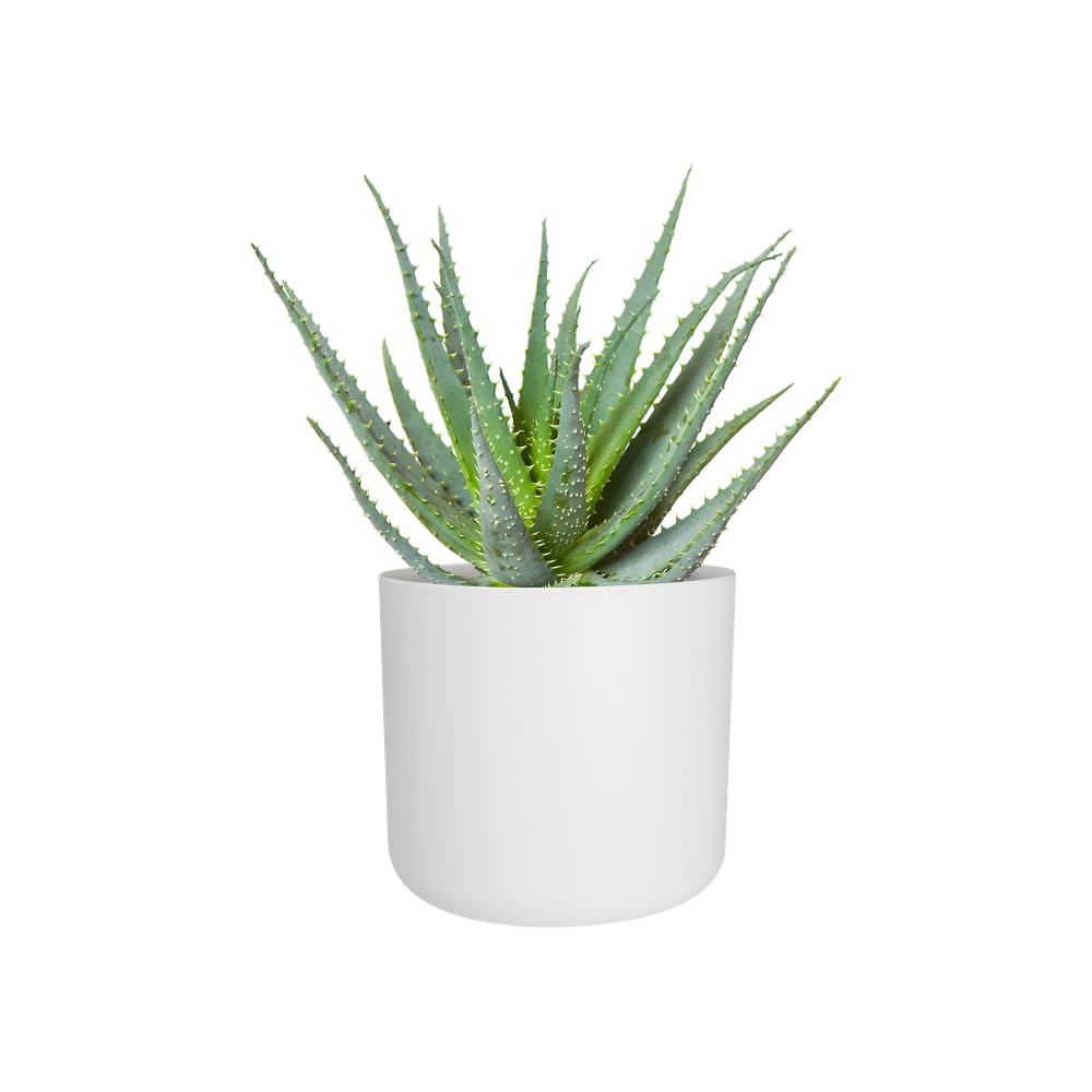 elho B.for Soft Round 25 - Indoor Plant Pot - 100% Recycled Plastic - Ø 24.7 x H 23.3 cm - White/White