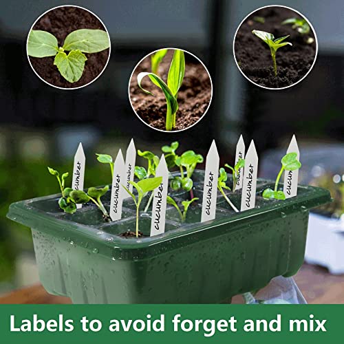 Fox·Bunny Propagator, 3 Pack Propagators for Plants,12-Cell Seed Trays with Lids,Indoor Gardening Kit for Seeds Planting (Green,10 White Labels, 2 Tools)